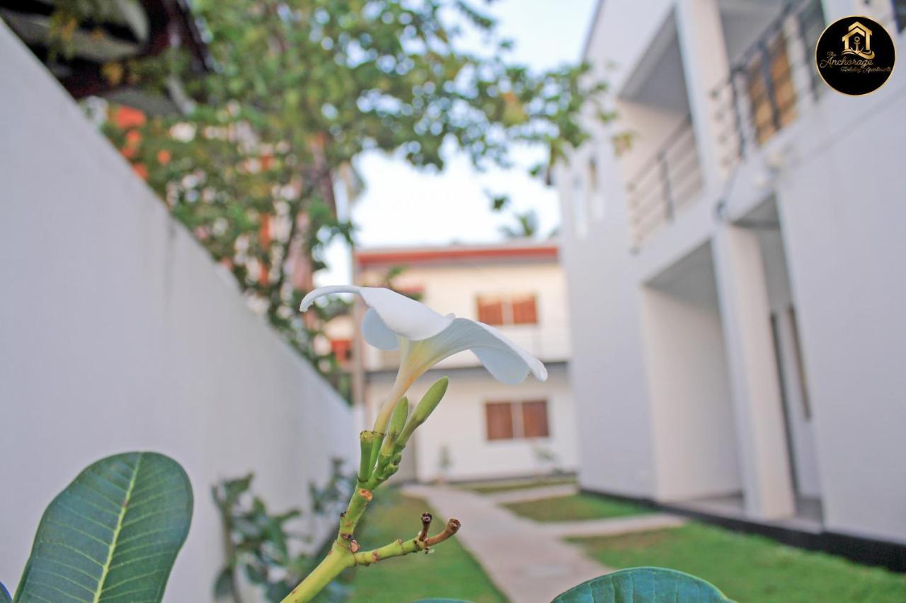 The Anchorage Holiday Apartments - Νεγκόμπο Εξωτερικό φωτογραφία